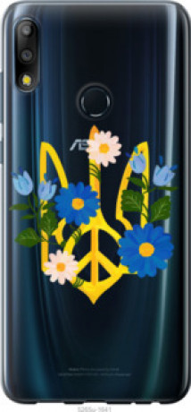 Чехол на Asus Zenfone Max Pro M2 ZB631KL Герб v3 &quot;5265u-1641&quot;