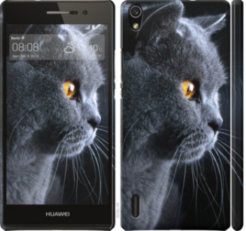 Чехол на Huawei Ascend P7 Красивый кот &quot;3038c-49&quot;