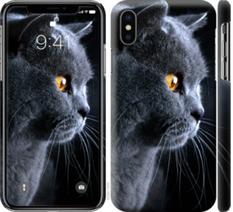 Чохол на iPhone XS Гарний кіт &quot;3038c-1583&quot;