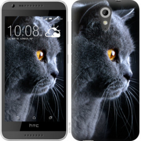 Чехол на HTC Desire 620G Красивый кот &quot;3038u-187&quot;