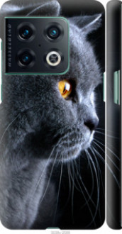 Чохол на OnePlus 10 Pro Гарний кіт &quot;3038c-2588&quot;