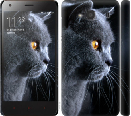 Чехол на Xiaomi Redmi 2 Красивый кот &quot;3038c-98&quot;