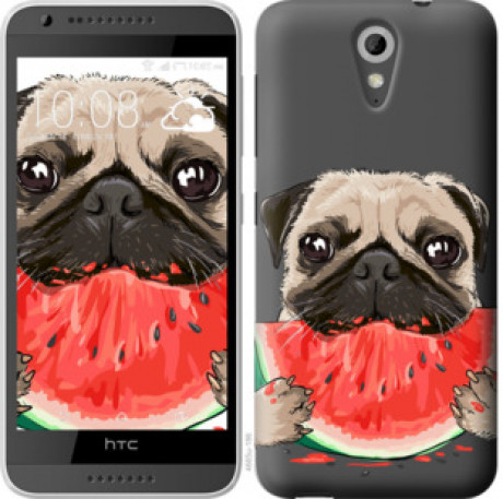 Чехол на HTC Desire 620G Мопс и арбуз &quot;4665u-187&quot;