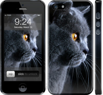 Чохол на iPhone 5s Гарний кіт &quot;3038c-21&quot;