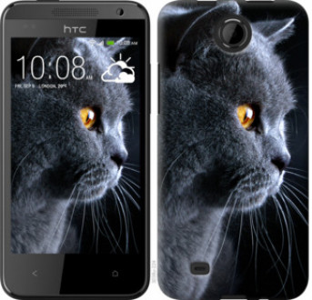 Чохол на HTC Desire 300 Гарний кіт &quot;3038u-224&quot;