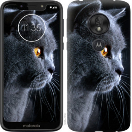 Чехол на Motorola Moto G7 Play Красивый кот &quot;3038u-1656&quot;