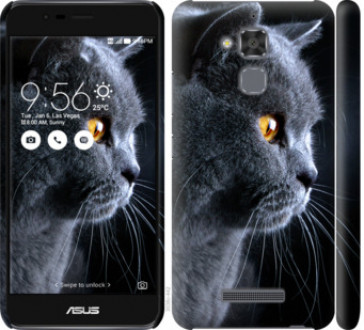 Чохол на Asus Zenfone 3 Max ZC520TL Гарний кіт &quot;3038c-442&quot;
