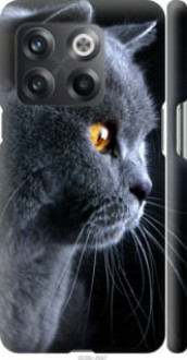 Чохол на OnePlus 10T Гарний кіт &quot;3038c-2647&quot;
