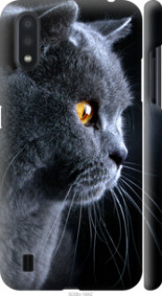Чохол на Samsung Galaxy A01 A015F Гарний кіт &quot;3038c-1842&quot;