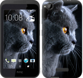 Чохол на HTC Desire 320 Гарний кіт &quot;3038u-497&quot;