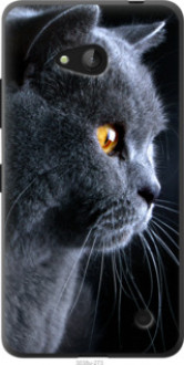 Чехол на Microsoft Lumia 640 Красивый кот &quot;3038t-273&quot;