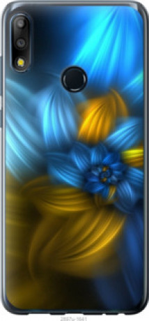 Чехол на Asus Zenfone Max Pro M2 ZB631KL Узор 46 &quot;2897u-1641&quot;